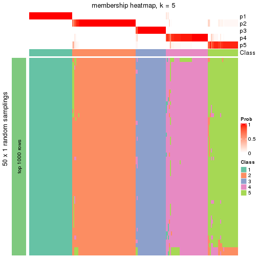 plot of chunk tab-node-02-membership-heatmap-4