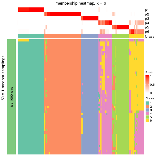 plot of chunk tab-node-02-membership-heatmap-5