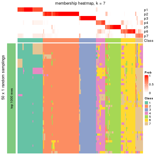 plot of chunk tab-node-02-membership-heatmap-6