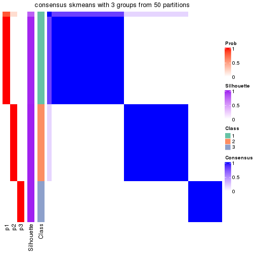 plot of chunk tab-node-021-consensus-heatmap-2