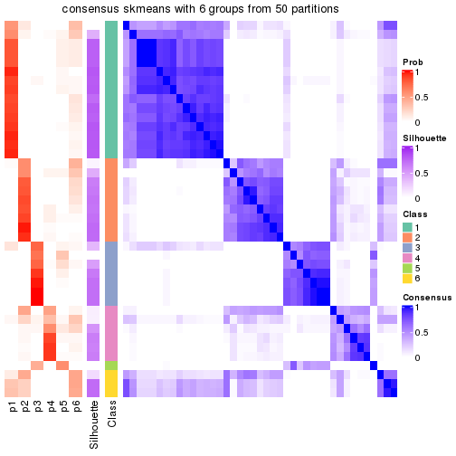 plot of chunk tab-node-021-consensus-heatmap-5