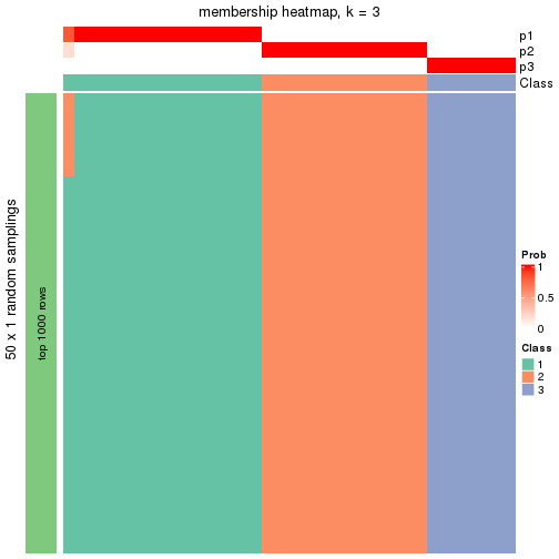 plot of chunk tab-node-021-membership-heatmap-2