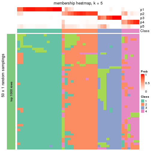 plot of chunk tab-node-021-membership-heatmap-4