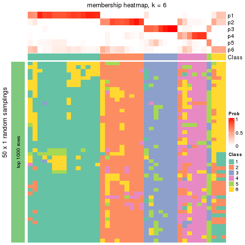 plot of chunk tab-node-021-membership-heatmap-5