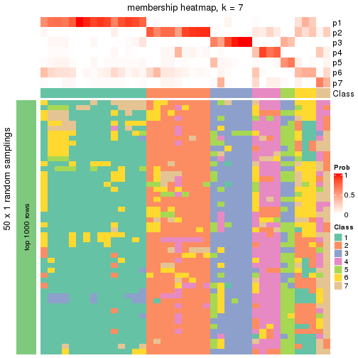 plot of chunk tab-node-021-membership-heatmap-6