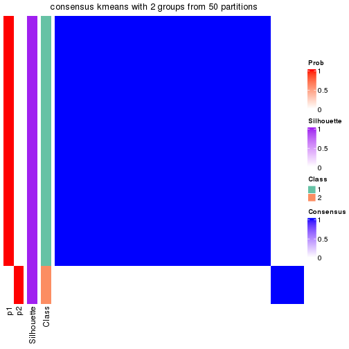 plot of chunk tab-node-0212-consensus-heatmap-1