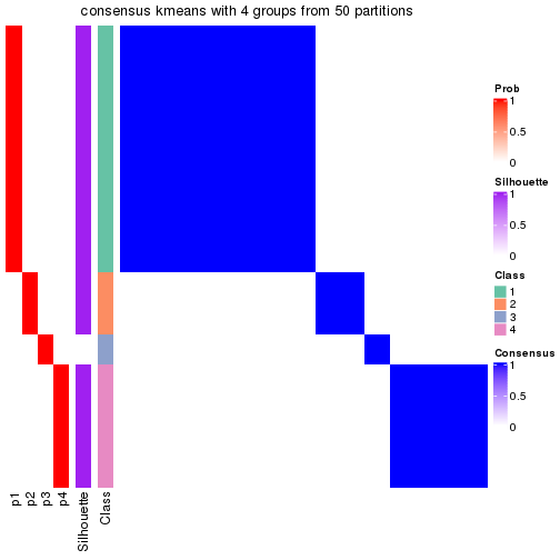 plot of chunk tab-node-0212-consensus-heatmap-3