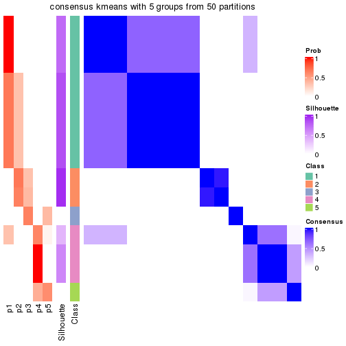 plot of chunk tab-node-0212-consensus-heatmap-4