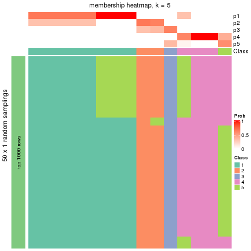 plot of chunk tab-node-0212-membership-heatmap-4