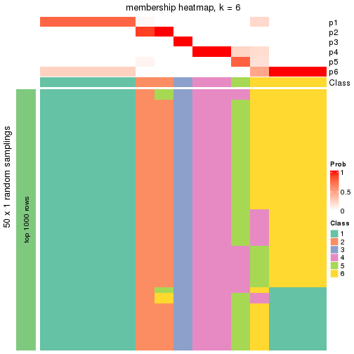 plot of chunk tab-node-0212-membership-heatmap-5