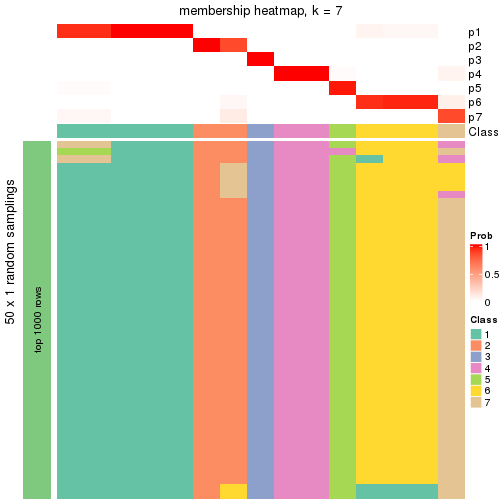 plot of chunk tab-node-0212-membership-heatmap-6