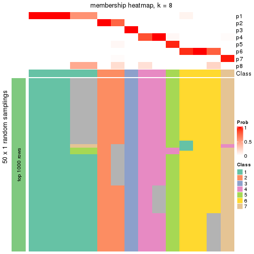 plot of chunk tab-node-0212-membership-heatmap-7