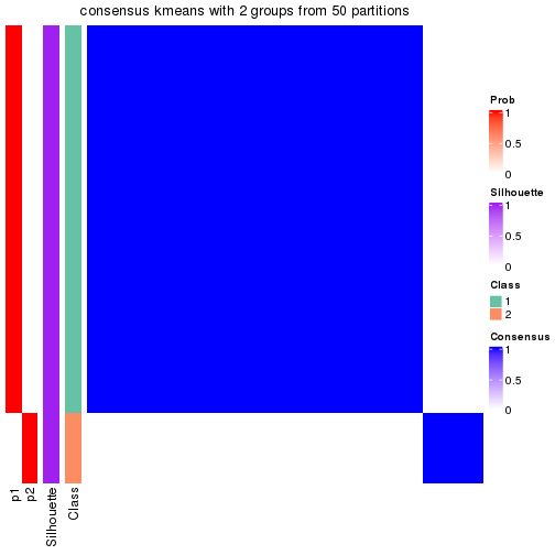 plot of chunk tab-node-02121-consensus-heatmap-1