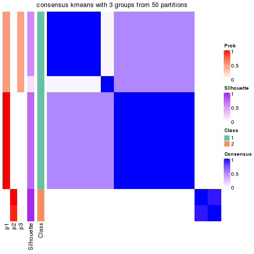 plot of chunk tab-node-02121-consensus-heatmap-2