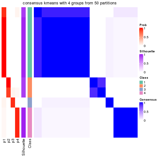 plot of chunk tab-node-02121-consensus-heatmap-3