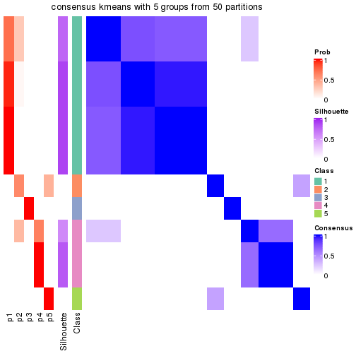 plot of chunk tab-node-02121-consensus-heatmap-4