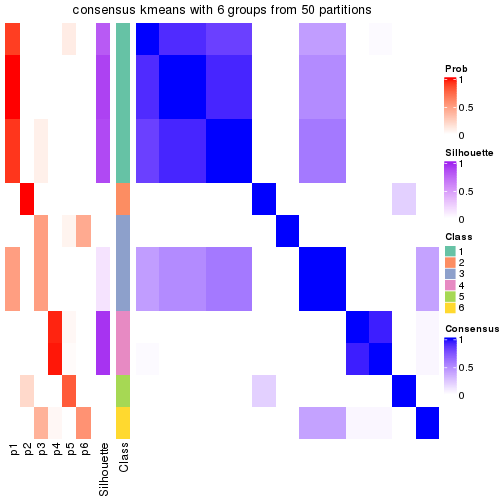 plot of chunk tab-node-02121-consensus-heatmap-5