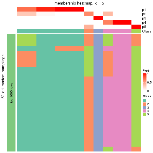 plot of chunk tab-node-02121-membership-heatmap-4