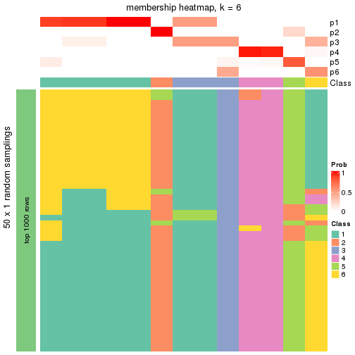 plot of chunk tab-node-02121-membership-heatmap-5