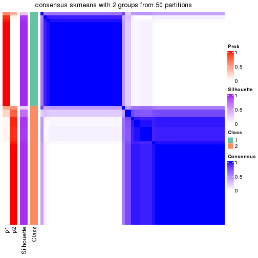 plot of chunk tab-node-022-consensus-heatmap-1