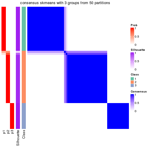 plot of chunk tab-node-022-consensus-heatmap-2