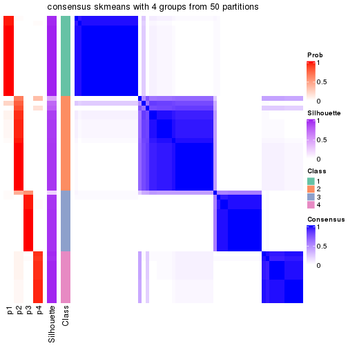 plot of chunk tab-node-022-consensus-heatmap-3