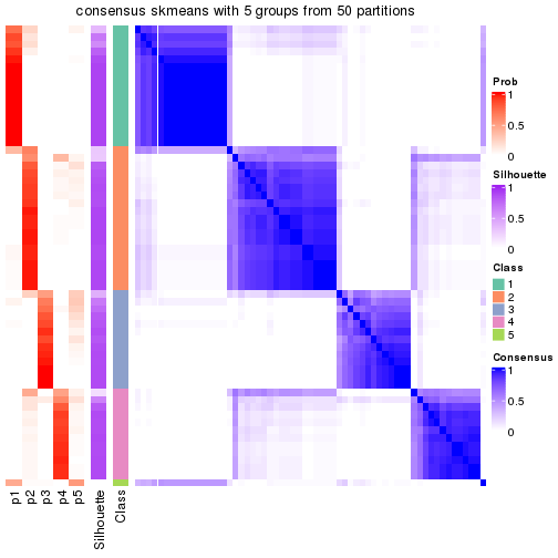 plot of chunk tab-node-022-consensus-heatmap-4