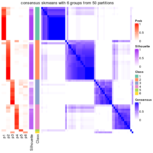 plot of chunk tab-node-022-consensus-heatmap-5