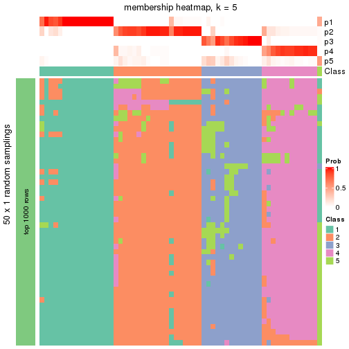 plot of chunk tab-node-022-membership-heatmap-4