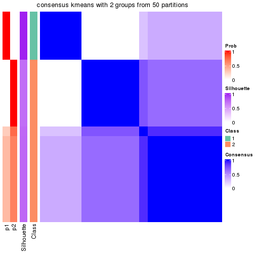 plot of chunk tab-node-0221-consensus-heatmap-1