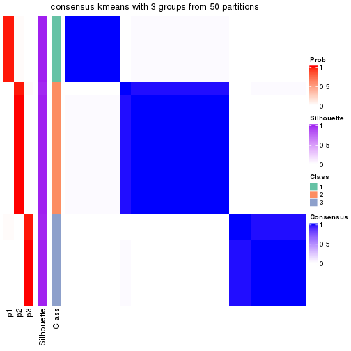 plot of chunk tab-node-0221-consensus-heatmap-2