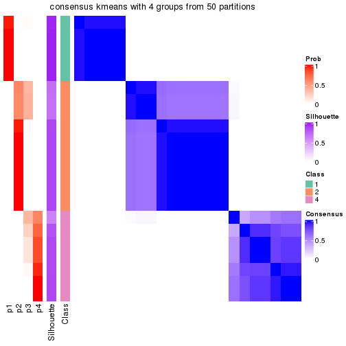 plot of chunk tab-node-0221-consensus-heatmap-3