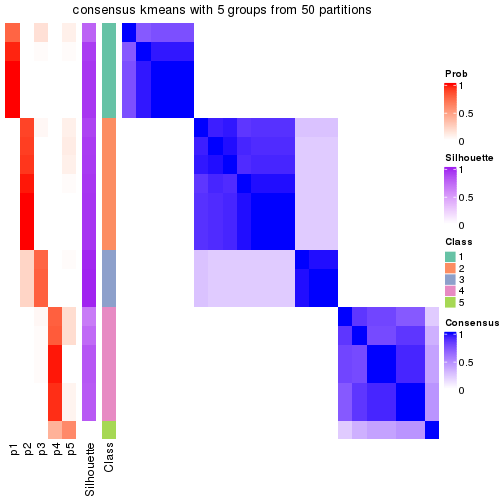 plot of chunk tab-node-0221-consensus-heatmap-4