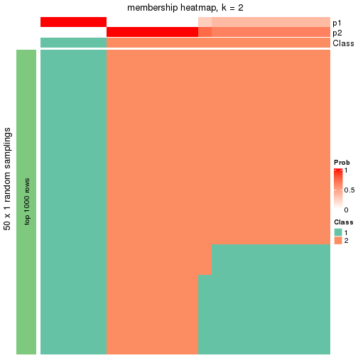 plot of chunk tab-node-0221-membership-heatmap-1