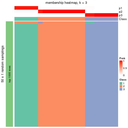 plot of chunk tab-node-0221-membership-heatmap-2