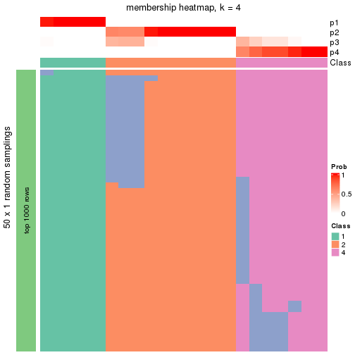 plot of chunk tab-node-0221-membership-heatmap-3