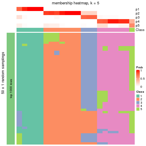 plot of chunk tab-node-0221-membership-heatmap-4