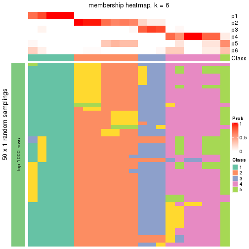 plot of chunk tab-node-0221-membership-heatmap-5