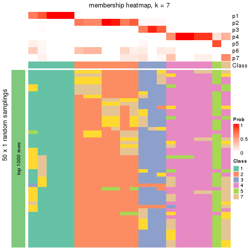 plot of chunk tab-node-0221-membership-heatmap-6