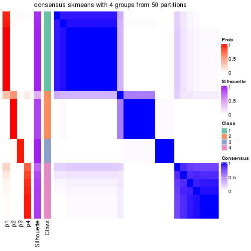 plot of chunk tab-node-0222-consensus-heatmap-3