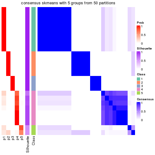 plot of chunk tab-node-0222-consensus-heatmap-4