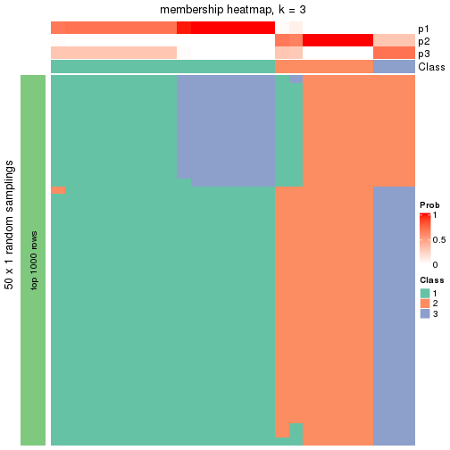 plot of chunk tab-node-0222-membership-heatmap-2