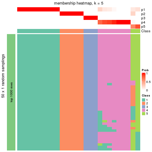 plot of chunk tab-node-0222-membership-heatmap-4