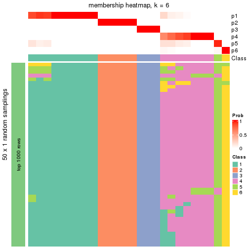 plot of chunk tab-node-0222-membership-heatmap-5