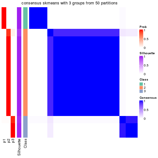 plot of chunk tab-node-02221-consensus-heatmap-2