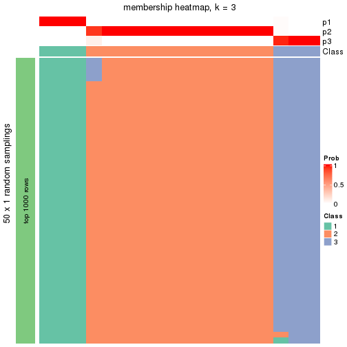 plot of chunk tab-node-02221-membership-heatmap-2