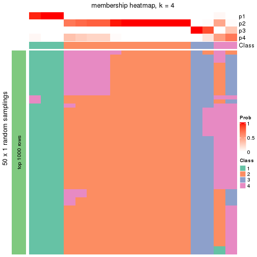 plot of chunk tab-node-02221-membership-heatmap-3