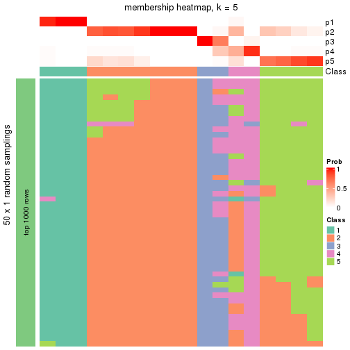 plot of chunk tab-node-02221-membership-heatmap-4