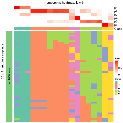 plot of chunk tab-node-02221-membership-heatmap-5