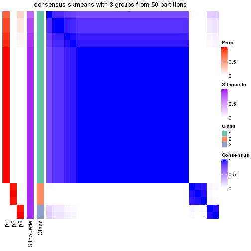 plot of chunk tab-node-023-consensus-heatmap-2